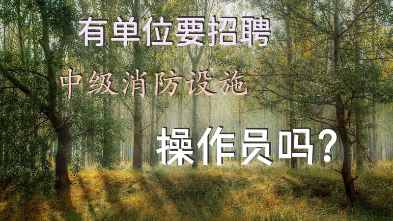 有单位要招聘中级消防设施操作员吗？