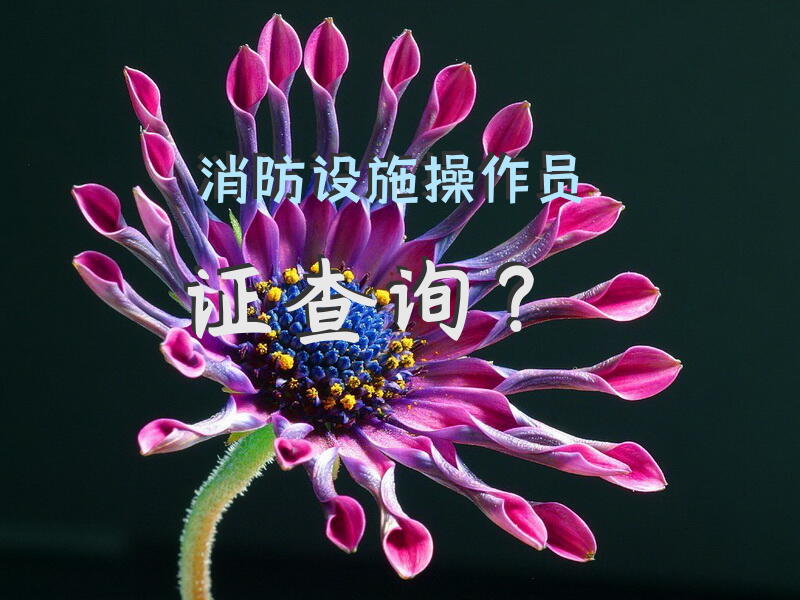 消防设施操作员证查询？