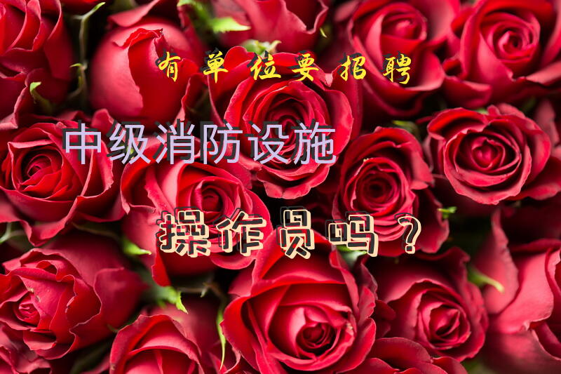 有单位要招聘中级消防设施操作员吗？