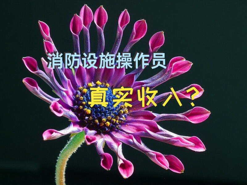 消防设施操作员真实收入？