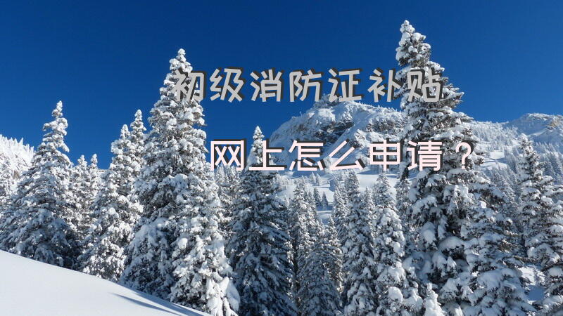 初级消防证补贴网上怎么申请？