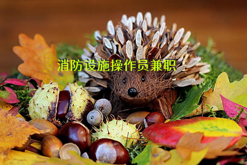 消防设施操作员 兼职