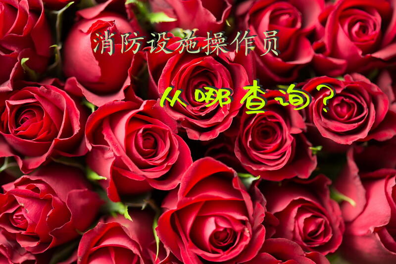 消防设施操作员从哪查询？