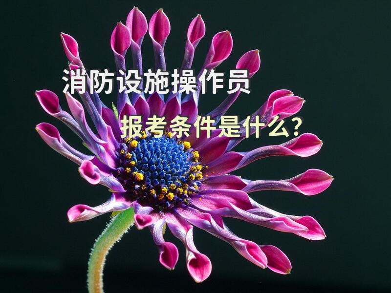 消防设施操作员报考条件是什么？