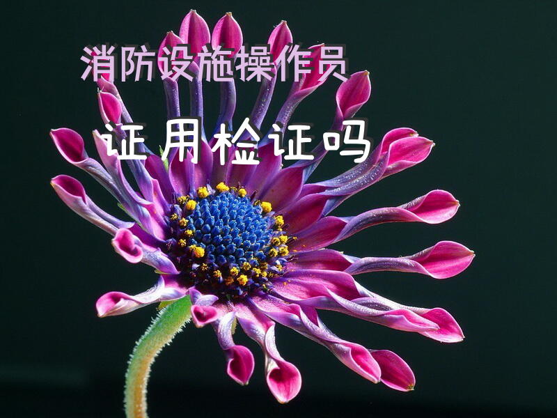 消防设施操作员证用检证吗