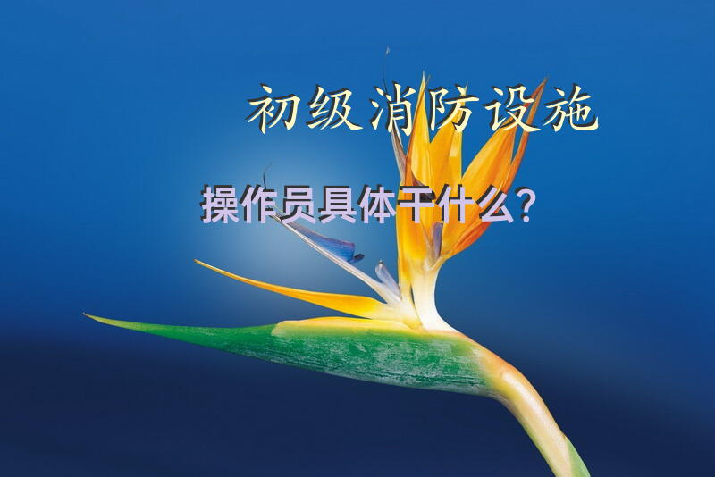 初级消防设施操作员具体干什么？