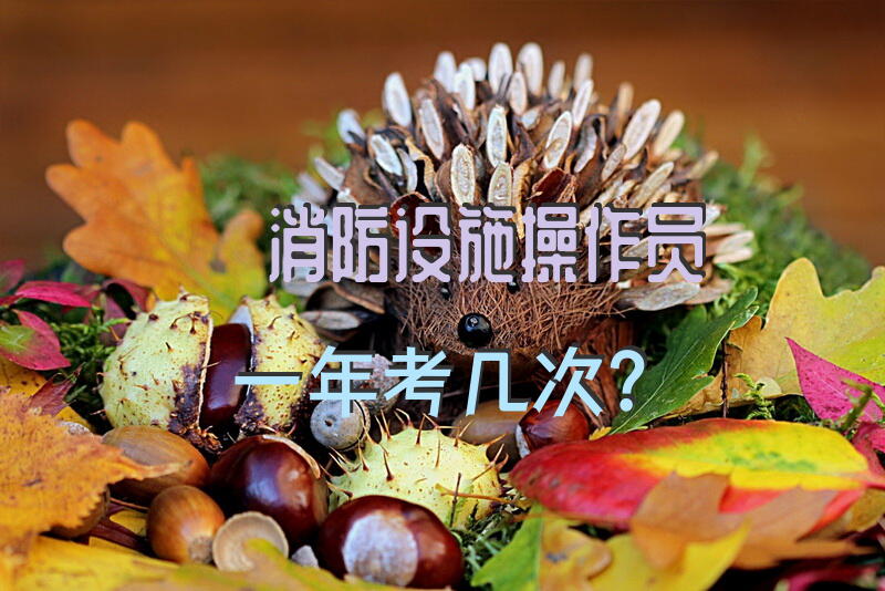 消防设施操作员一年考几次？