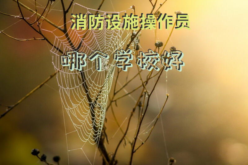 消防设施操作员哪个学校好