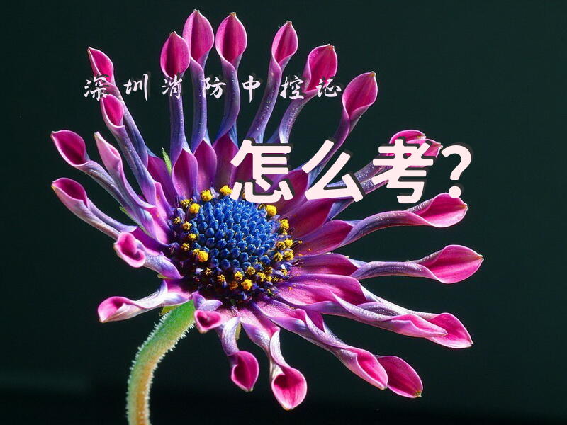 深圳消防中控证怎么考？