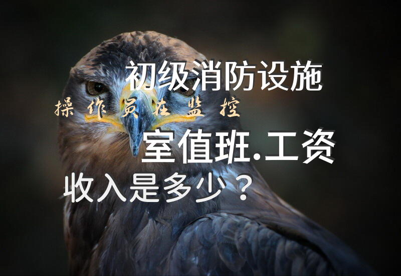 初级消防设施操作员在监控室值班.工资收入是多少？