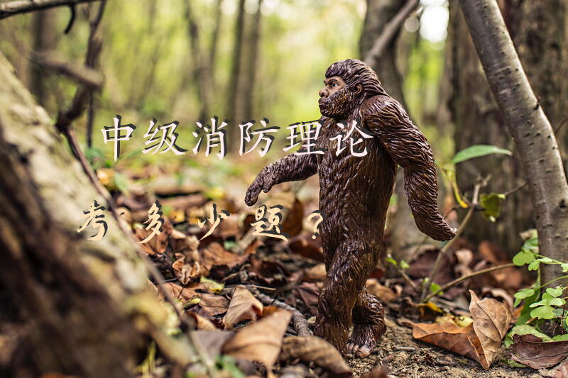 中级消防理论考多少题？