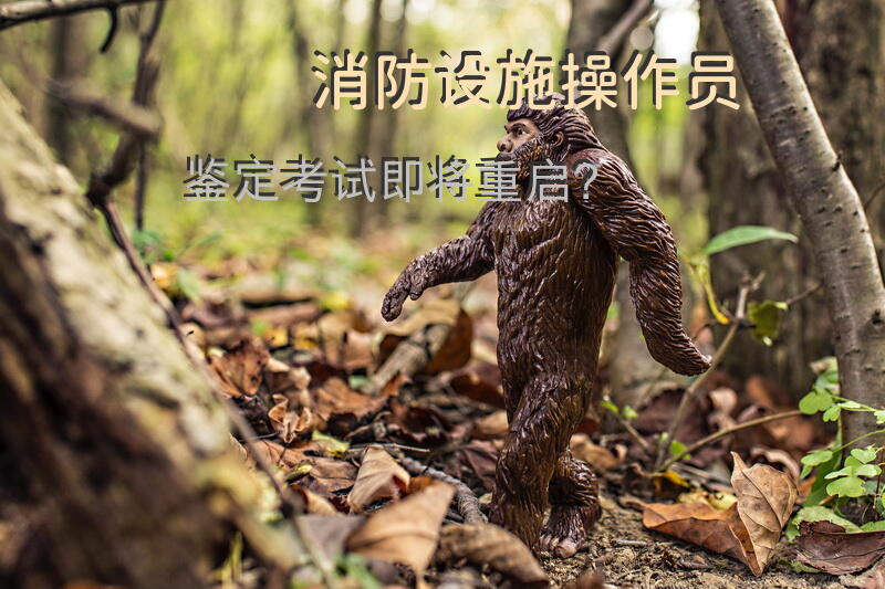 消防设施操作员鉴定考试即将重启？