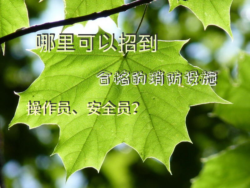 哪里可以招到合格的消防设施操作员、安全员？